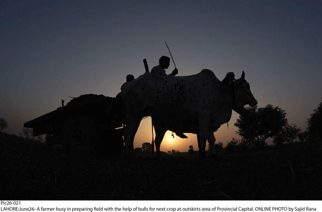 LAHORE: Preparing A Field