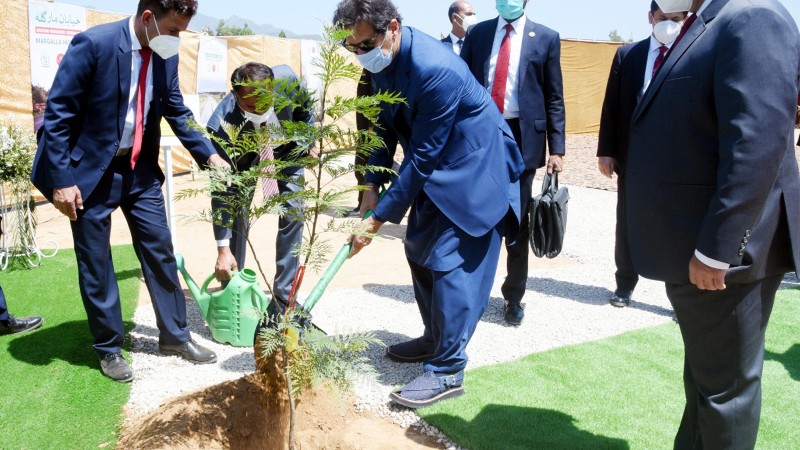 Billion tree tsunami under scrutiny for graft