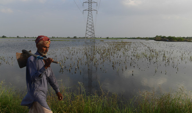 Sindh raises wheat purchase price to help support flood-hit farmers