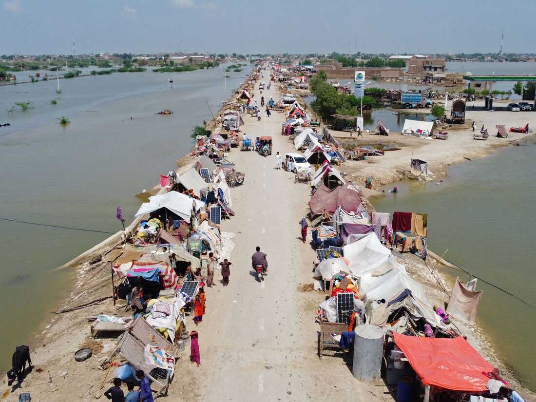 Floods displace thousands in south Punjab as monsoon rains threaten further devastation
