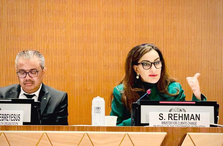 UN hikes Pakistan’s flood aid appeal to $816 million