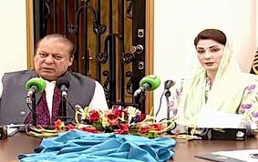 Punjab offers Rs14/unit electricity subsidy in summer relief
