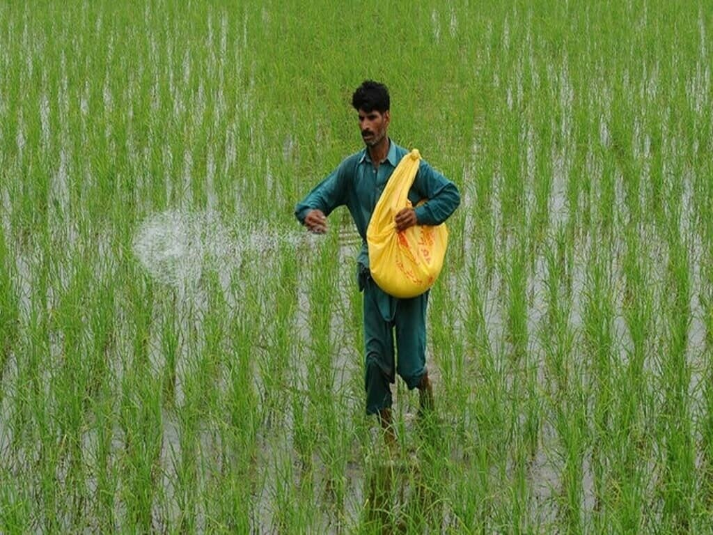 ECC approves 100,000-tonne urea import to avert supply disruption