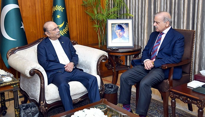 Zardari, Sharif reaffirm unity on economy, security amid system shift talk