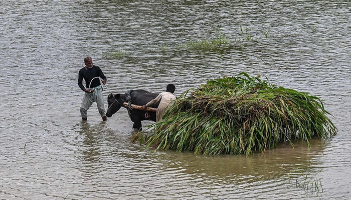 Punjab battles historic floods after India releases dam waters, hundreds of thousands displaced