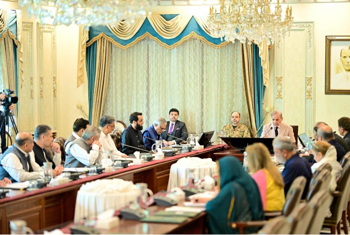 PM Sharif pledges support for flood-hit northern regions