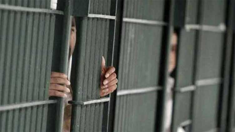 Senate panel orders probe into 17,321 citizens detained abroad, mostly in Middle East