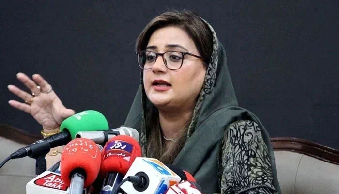 Punjab unveils flood relief plan, sidesteps federal aid in swipe at Sindh