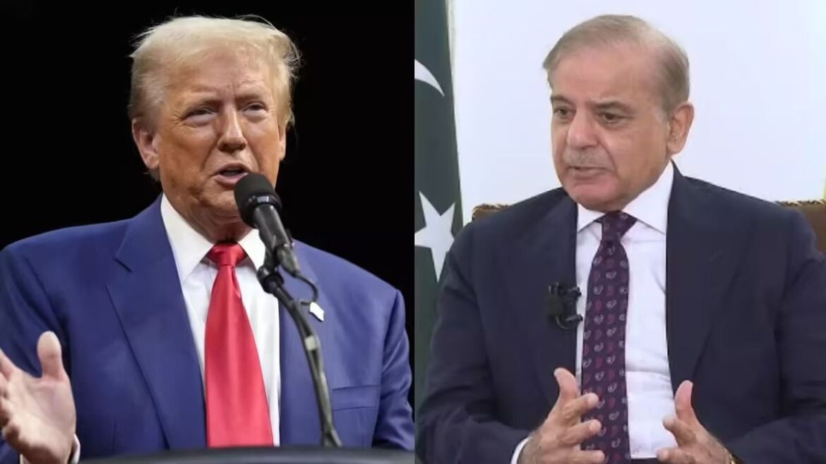 PM Sharif to meet Trump at UN in New York: reports