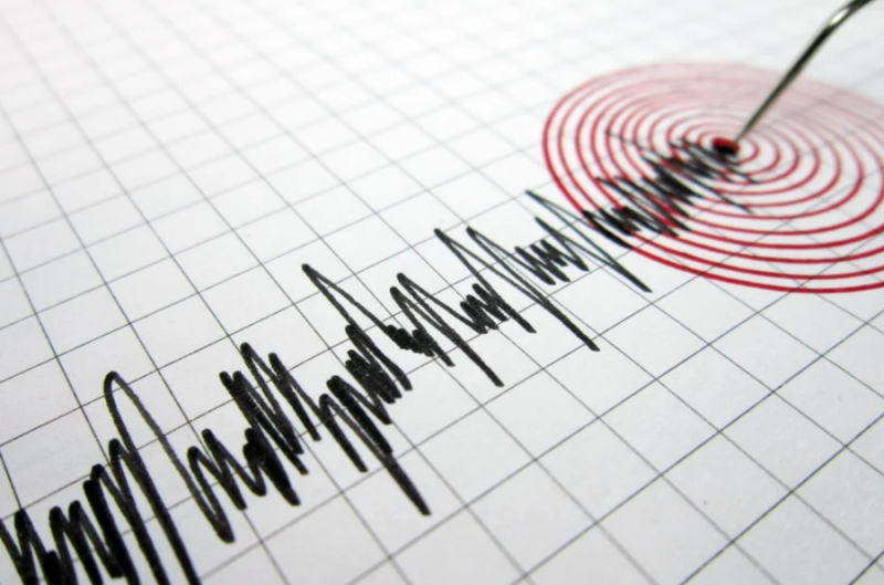 Magnitude 5.9 quake shakes northwest Pakistan, no casualties reported