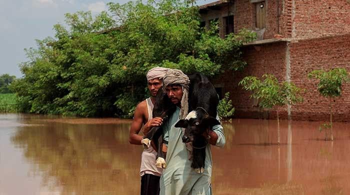 ECP postpones by-elections in flood-ravaged Punjab as rivers surge and evacuations escalate