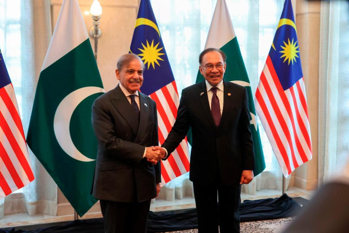 Pakistan, Malaysia agree to boost trade ties as Kuala Lumpur plans $200m halal meat imports