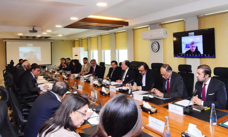 ECC clears Rs50.9 billion security outlay, opens offshore block to Turkish operator