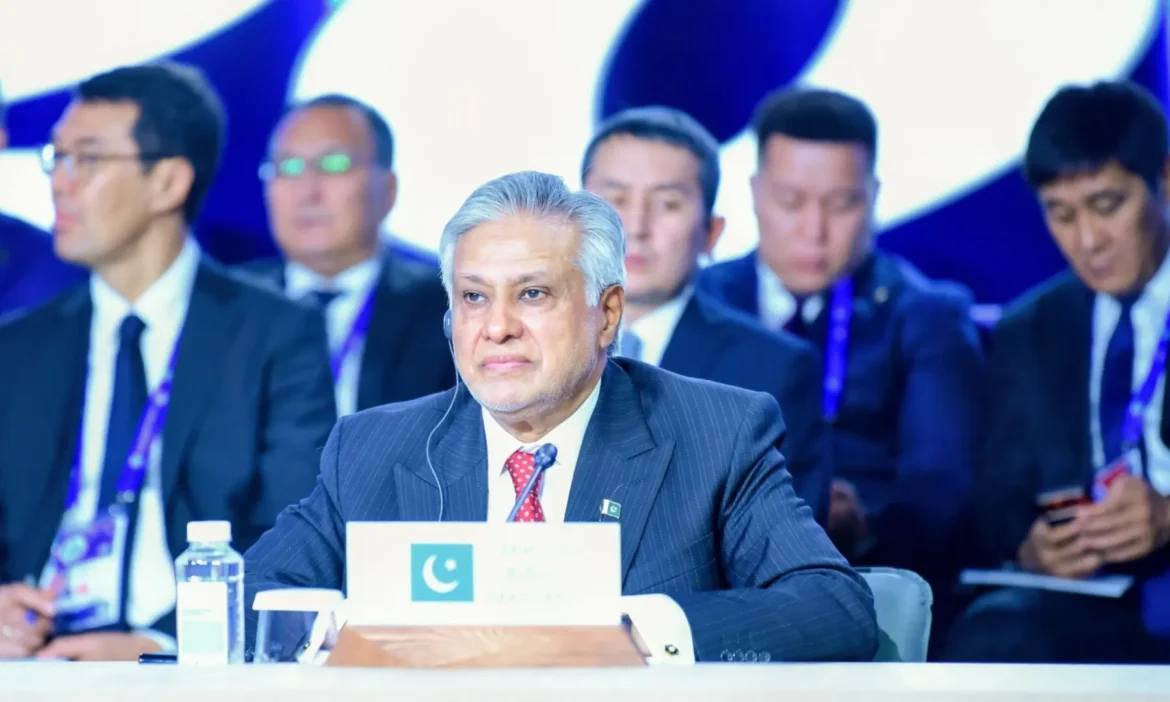 Dar presses SCO for deeper economic, disaster-response collaboration