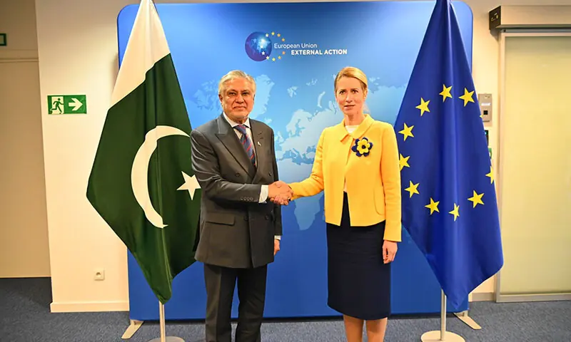 Pakistan and EU press Afghanistan on terrorism and rights amid border tensions