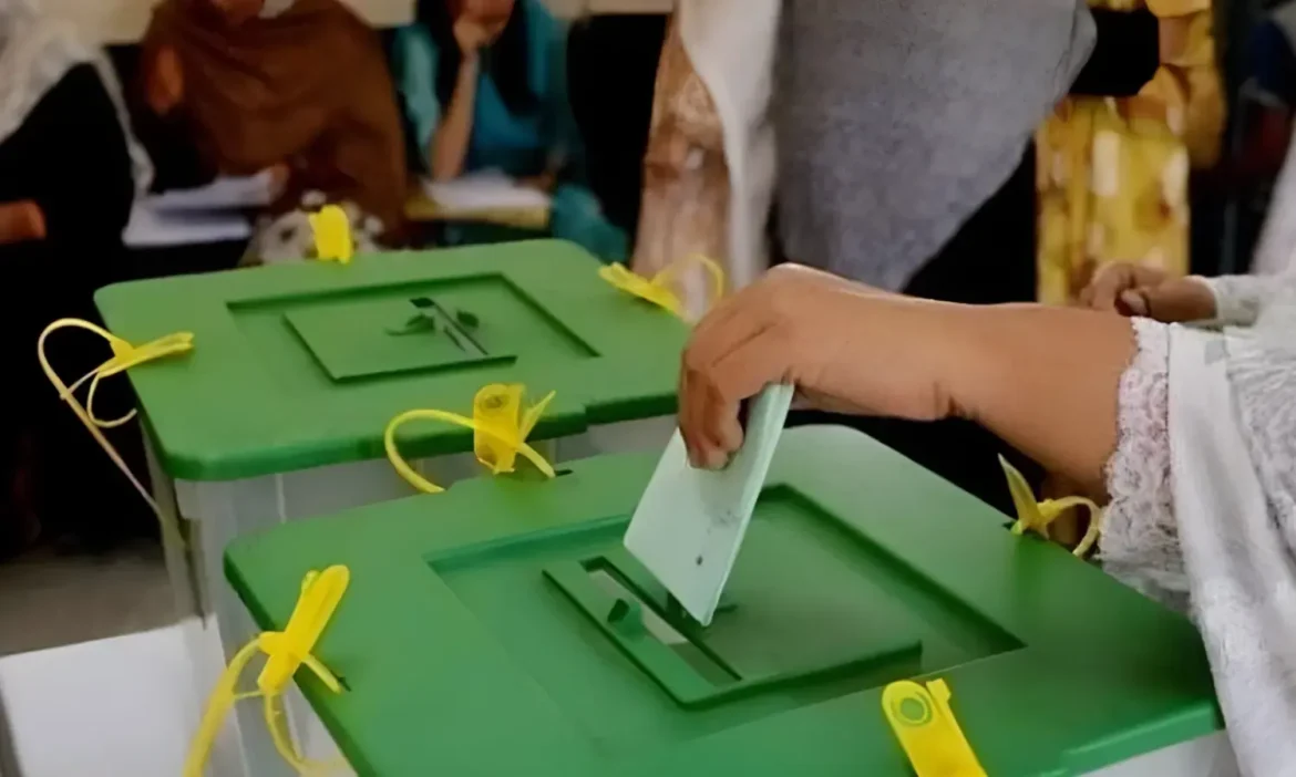 By-elections marred by ‘gaps in transparency’; watchdog flags violations, weak turnout