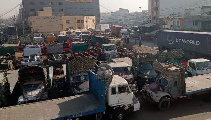 Freight transporters end 10-day strike after govt concedes on fines, axle loads