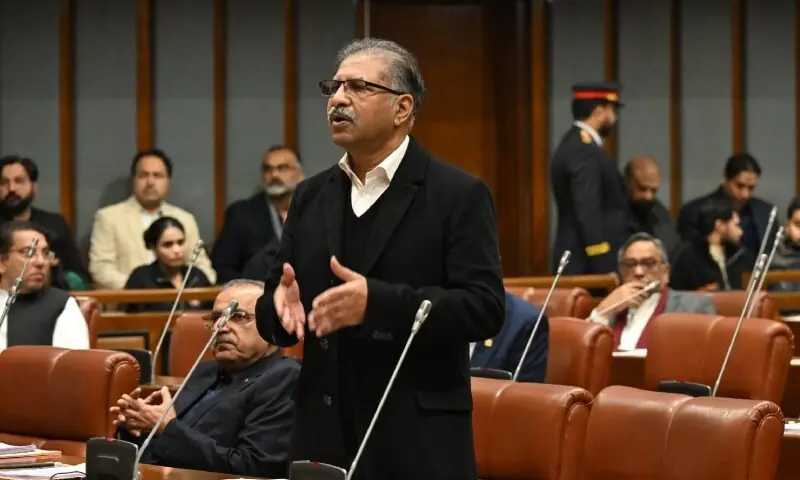 Election legitimacy and economic policy collide in heated Senate session