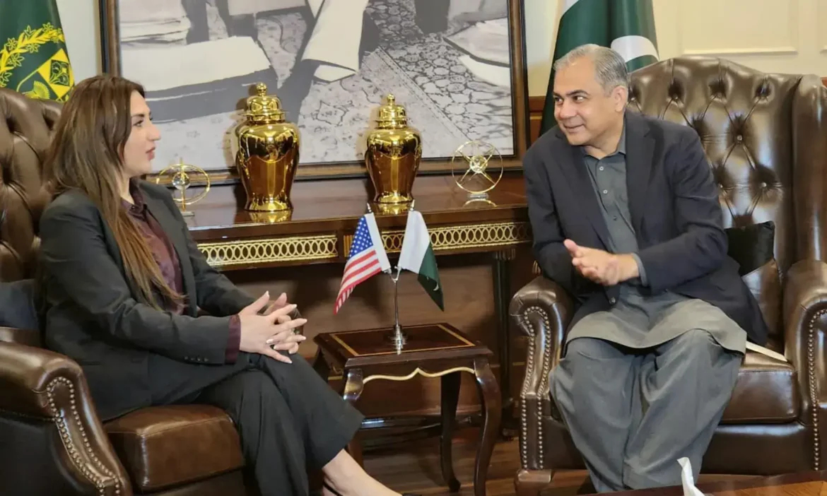 Pakistan, US to launch joint operations targeting visa fraud rings