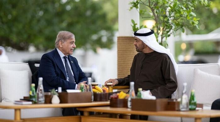Pakistan to repay full $3.5 billion UAE debt this month, ending rollover uncertainty