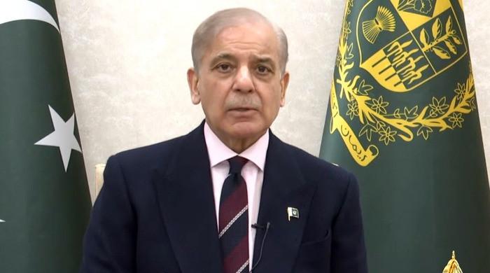 Pakistan cuts diesel price by Rs135 a liter, petrol by Rs12 as Sharif hails ceasefire diplomacy