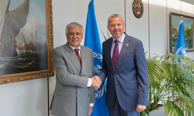 FM Dar presses UN maritime chief over 10 Pakistani sailors held by Somali pirates