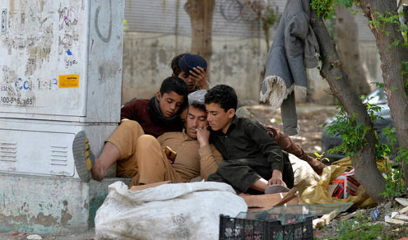 IHC seeks govt response on social media age limits for children