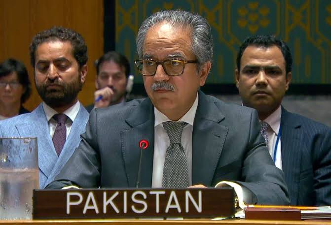 Pakistan warns Red Sea and Hormuz crises threaten global energy and food supplies