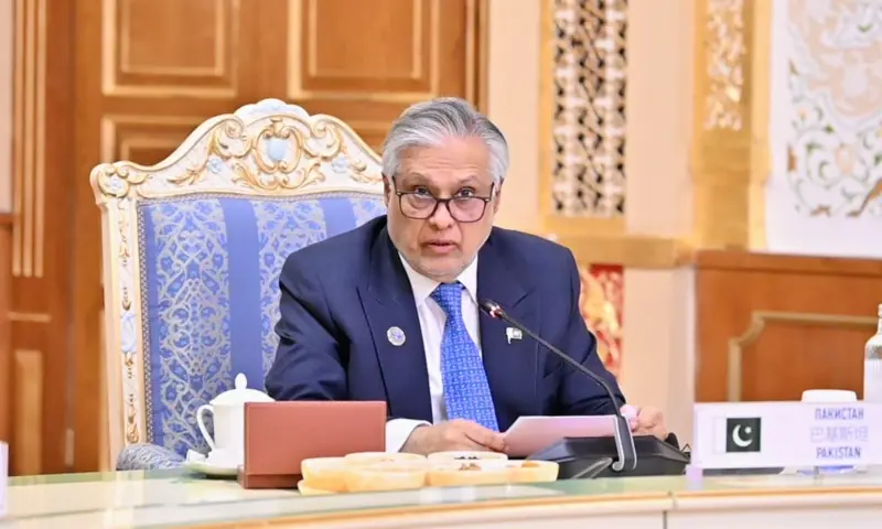 Pakistan pushes SCO bloc toward local-currency trade and common bank