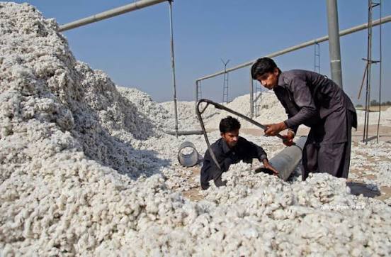 Pakistan mills idle despite bigger cotton crop, industry says